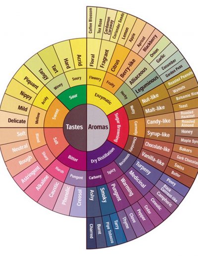 Taste and Aroma Wheel, from Specialty Coffee Association Of America
